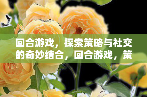 回合游戏,探索策略与社交的奇妙结合,回合游戏,策略与社交的奇妙碰撞 回合游戏,探索策略与社交的奇妙结合,回合游戏,策略与社交的奇妙碰撞