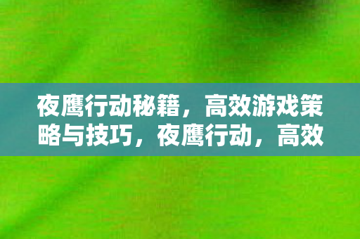 夜鹰行动秘籍,高效游戏策略与技巧,夜鹰行动,高效游戏策略与技巧秘籍 夜鹰行动秘籍,高效游戏策略与技巧,夜鹰行动,高效游戏策略与技巧秘籍