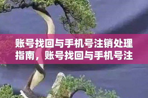 账号找回与手机号注销处理指南，账号找回与手机号注销处理全攻略
