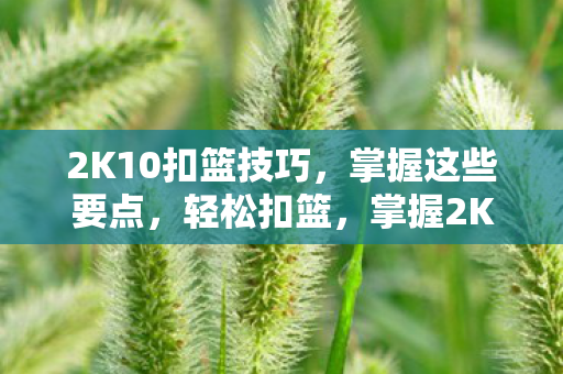 2K10扣篮技巧,掌握这些要点,轻松扣篮,掌握2K10扣篮技巧,轻松实现扣篮梦想 2K10扣篮技巧,掌握这些要点,轻松扣篮,掌握2K10扣篮技巧,轻松实现扣篮梦想