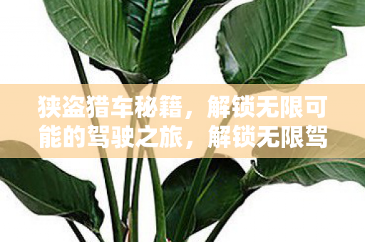 狭盗猎车秘籍，解锁无限可能的驾驶之旅，解锁无限驾驶乐趣，狭盗猎车秘籍大揭秘