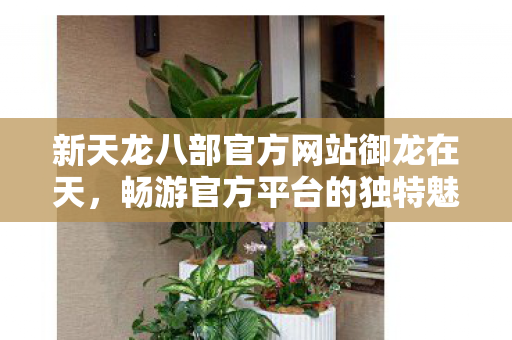 新天龙八部官方网站御龙在天,畅游官方平台的独特魅力,新天龙八部官方网站御龙在天,畅游官方平台的独特魅力 新天龙八部官方网站御龙在天,畅游官方平台的独特魅力,新天龙八部官方网站御龙在天,畅游官方平台的独特魅力