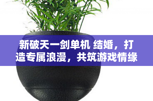 新破天一剑单机 结婚,打造专属浪漫,共筑游戏情缘,新破天一剑单机版,打造专属浪漫,共筑游戏情缘 新破天一剑单机 结婚,打造专属浪漫,共筑游戏情缘,新破天一剑单机版,打造专属浪漫,共筑游戏情缘