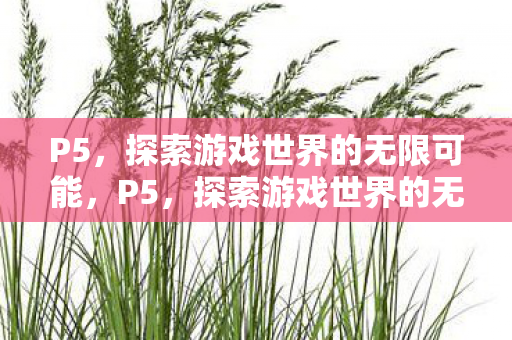 P5,探索游戏世界的无限可能,P5,探索游戏世界的无限可能 P5,探索游戏世界的无限可能,P5,探索游戏世界的无限可能
