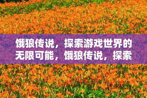 饿狼传说,探索游戏世界的无限可能,饿狼传说,探索游戏世界的无限可能 饿狼传说,探索游戏世界的无限可能,饿狼传说,探索游戏世界的无限可能