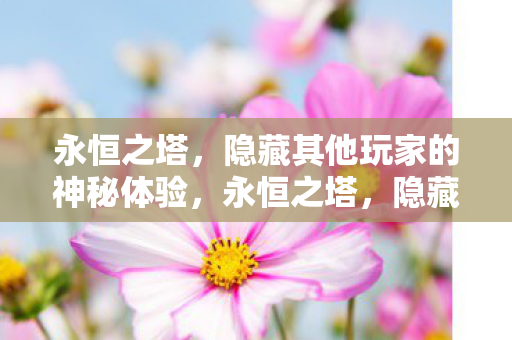 永恒之塔,隐藏其他玩家的神秘体验,永恒之塔,隐藏玩家,解锁神秘体验 永恒之塔,隐藏其他玩家的神秘体验,永恒之塔,隐藏玩家,解锁神秘体验
