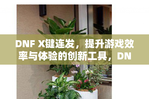 DNF X键连发,提升游戏效率与体验的创新工具,DNF X键连发,提升游戏效率与体验的创新工具 DNF X键连发,提升游戏效率与体验的创新工具,DNF X键连发,提升游戏效率与体验的创新工具