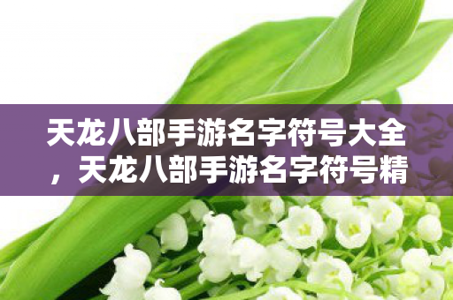 天龙八部手游名字符号大全,天龙八部手游名字符号精选 天龙八部手游名字符号大全,天龙八部手游名字符号精选