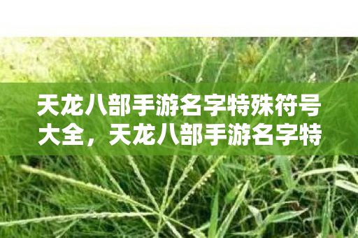 天龙八部手游名字特殊符号大全图片