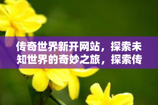 传奇世界新开网站,探索未知世界的奇妙之旅,探索传奇世界新网站,开启未知世界的奇妙旅程 传奇世界新开网站,探索未知世界的奇妙之旅,探索传奇世界新网站,开启未知世界的奇妙旅程