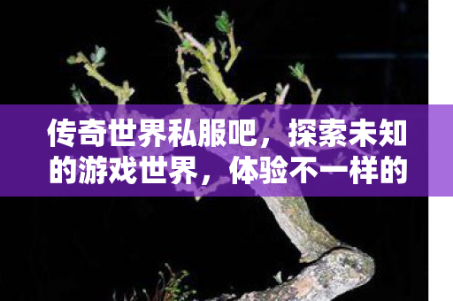 传奇世界私服吧,探索未知的游戏世界,体验不一样的冒险,探索传奇世界私服,开启未知冒险之旅 传奇世界私服吧,探索未知的游戏世界,体验不一样的冒险,探索传奇世界私服,开启未知冒险之旅