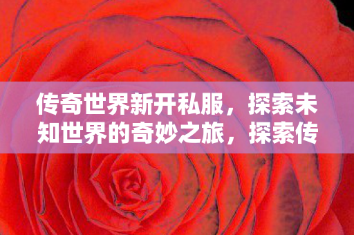 传奇世界新开私服,探索未知世界的奇妙之旅,探索传奇世界新开私服,开启未知世界的奇妙之旅 传奇世界新开私服,探索未知世界的奇妙之旅,探索传奇世界新开私服,开启未知世界的奇妙之旅