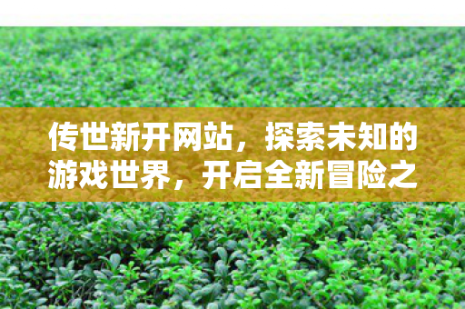 传世新开网站,探索未知的游戏世界,开启全新冒险之旅,传世新网站开启,探索未知游戏世界,踏上冒险之旅 传世新开网站,探索未知的游戏世界,开启全新冒险之旅,传世新网站开启,探索未知游戏世界,踏上冒险之旅