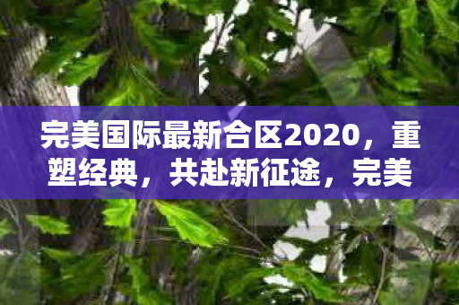 完美国际最新合区2020,重塑经典,共赴新征途,完美国际2020最新合区,重塑经典,共赴新征途 完美国际最新合区2020,重塑经典,共赴新征途,完美国际2020最新合区,重塑经典,共赴新征途