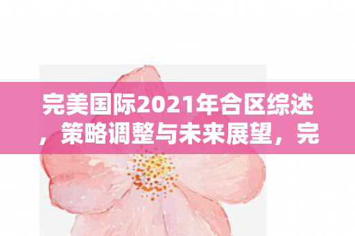 完美国际2021年合区综述,策略调整与未来展望,完美国际2021年合区策略调整与未来展望综述 完美国际2021年合区综述,策略调整与未来展望,完美国际2021年合区策略调整与未来展望综述