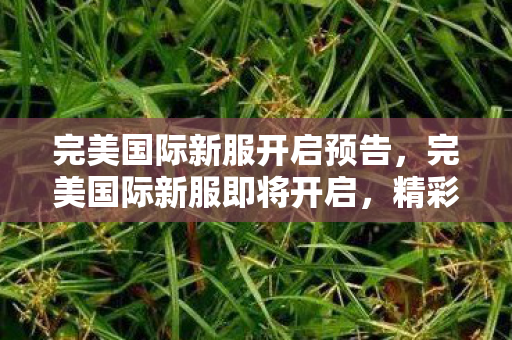 完美国际新服开启预告,完美国际新服即将开启,精彩不容错过! 完美国际新服开启预告,完美国际新服即将开启,精彩不容错过!