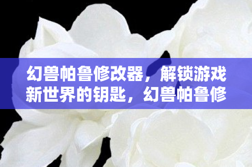 幻兽帕鲁修改器,解锁游戏新世界的钥匙,幻兽帕鲁修改器,解锁游戏新世界钥匙 幻兽帕鲁修改器,解锁游戏新世界的钥匙,幻兽帕鲁修改器,解锁游戏新世界钥匙