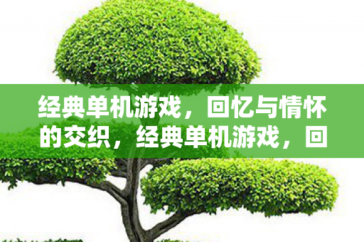 经典单机游戏,回忆与情怀的交织,经典单机游戏,回忆与情怀的交织 经典单机游戏,回忆与情怀的交织,经典单机游戏,回忆与情怀的交织