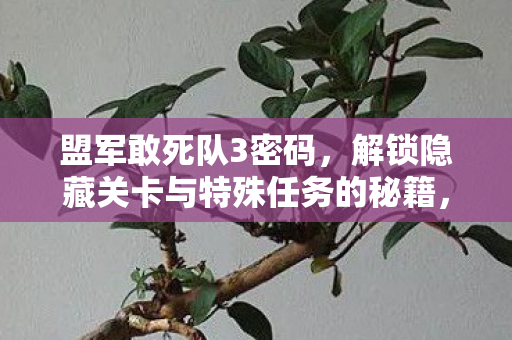 盟军敢死队3密码,解锁隐藏关卡与特殊任务的秘籍,盟军敢死队3解锁秘籍,解锁隐藏关卡与特殊任务 盟军敢死队3密码,解锁隐藏关卡与特殊任务的秘籍,盟军敢死队3解锁秘籍,解锁隐藏关卡与特殊任务