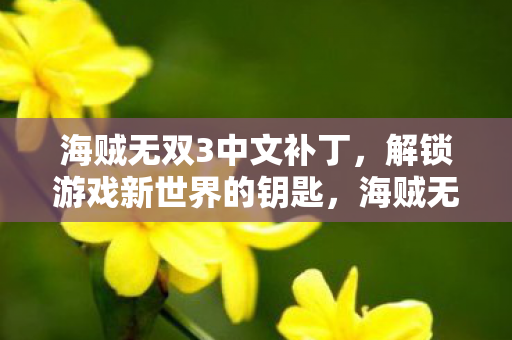海贼无双3中文补丁,解锁游戏新世界的钥匙,海贼无双3中文补丁,解锁游戏新世界的关键 海贼无双3中文补丁,解锁游戏新世界的钥匙,海贼无双3中文补丁,解锁游戏新世界的关键
