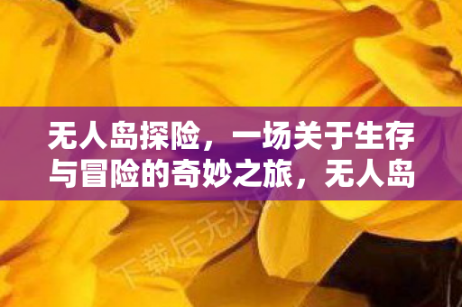 无人岛探险，一场关于生存与冒险的奇妙之旅，无人岛探险，生存与冒险的奇妙之旅