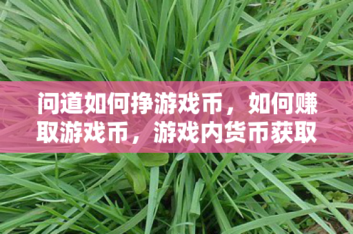 问道如何挣游戏币，如何赚取游戏币，游戏内货币获取攻略