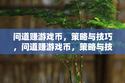 问道赚游戏币,策略与技巧,问道赚游戏币,策略与技巧全解析 问道赚游戏币,策略与技巧,问道赚游戏币,策略与技巧全解析