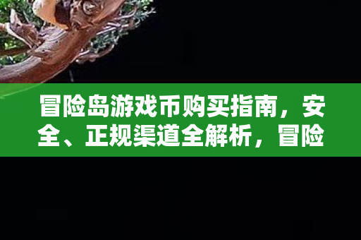 冒险岛游戏币购买指南，安全、正规渠道全解析，冒险岛游戏币购买全攻略，安全正规渠道全解析