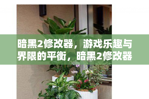 暗黑2修改器,游戏乐趣与界限的平衡,暗黑2修改器,游戏乐趣与界限的平衡 暗黑2修改器,游戏乐趣与界限的平衡,暗黑2修改器,游戏乐趣与界限的平衡