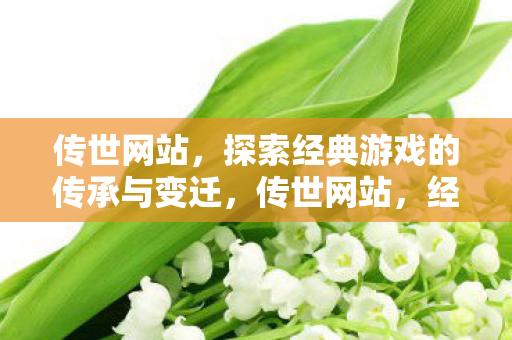 传世网站,探索经典游戏的传承与变迁,传世网站,经典游戏的传承与变迁 传世网站,探索经典游戏的传承与变迁,传世网站,经典游戏的传承与变迁