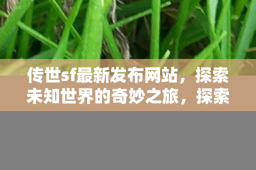 传世sf最新发布网站,探索未知世界的奇妙之旅,探索未知世界的奇妙之旅,传世sf最新发布网站 传世sf最新发布网站,探索未知世界的奇妙之旅,探索未知世界的奇妙之旅,传世sf最新发布网站