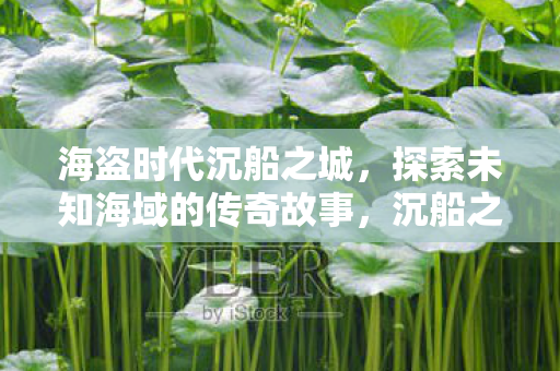 海盗时代沉船之城，探索未知海域的传奇故事，沉船之城，探索海盗时代未知海域的传奇故事