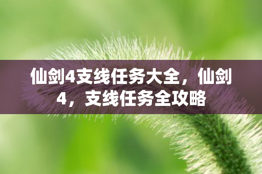 仙剑4支线任务大全,仙剑4,支线任务全攻略 仙剑4支线任务大全,仙剑4,支线任务全攻略