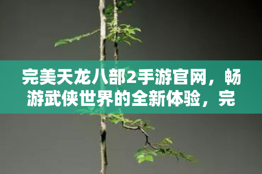 完美天龙八部2手游官网,畅游武侠世界的全新体验,完美天龙八部2手游官网,畅游武侠世界的全新体验 完美天龙八部2手游官网,畅游武侠世界的全新体验,完美天龙八部2手游官网,畅游武侠世界的全新体验