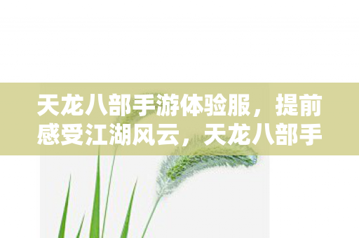 天龙八部手游体验服,提前感受江湖风云,天龙八部手游体验服,提前感受江湖风云,畅游武侠世界 天龙八部手游体验服,提前感受江湖风云,天龙八部手游体验服,提前感受江湖风云,畅游武侠世界