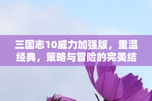 三国志10威力加强版,重温经典,策略与冒险的完美结合,三国志10威力加强版,重温经典,策略与冒险的完美融合 三国志10威力加强版,重温经典,策略与冒险的完美结合,三国志10威力加强版,重温经典,策略与冒险的完美融合