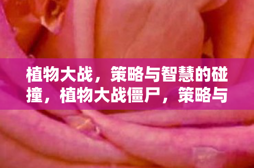 植物大战,策略与智慧的碰撞,植物大战僵尸,策略与智慧的较量 植物大战,策略与智慧的碰撞,植物大战僵尸,策略与智慧的较量