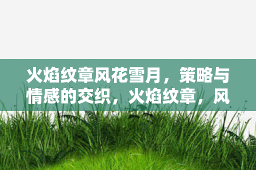 火焰纹章风花雪月，策略与情感的交织，火焰纹章，风花雪月，策略与情感的浪漫交织