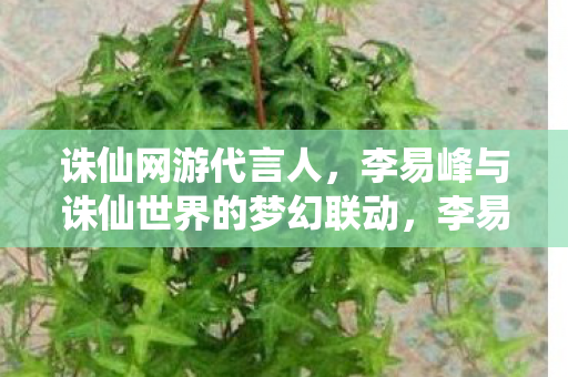 诛仙网游代言人，李易峰与诛仙世界的梦幻联动，李易峰化身诛仙网游代言人，梦幻联动诛仙世界