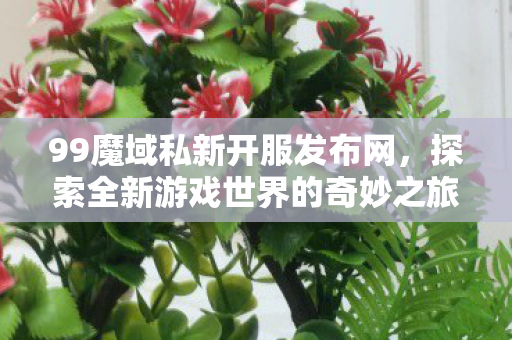 探索全新游戏世界的奇妙之旅图片