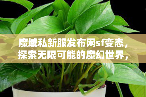 魔域私新服发布网sf变态图片