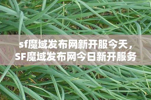 SF魔域发布网今日新开服务器图片