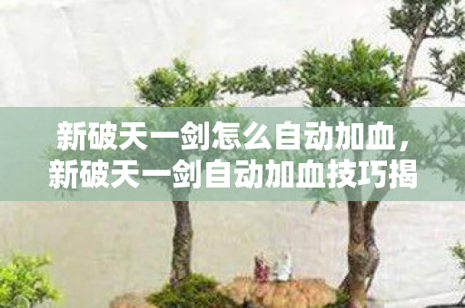 新破天一剑怎么自动加血,新破天一剑自动加血技巧揭秘 新破天一剑怎么自动加血,新破天一剑自动加血技巧揭秘