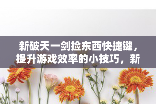 新破天一剑捡东西快捷键，提升游戏效率的小技巧，新破天一剑，掌握捡东西快捷键，轻松提升游戏效率