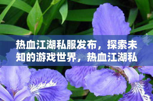 热血江湖私服发布,探索未知的游戏世界,热血江湖私服发布,探索未知的游戏世界 热血江湖私服发布,探索未知的游戏世界,热血江湖私服发布,探索未知的游戏世界