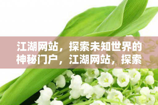 江湖网站,探索未知世界的神秘门户,江湖网站,探索未知世界的神秘门户 江湖网站,探索未知世界的神秘门户,江湖网站,探索未知世界的神秘门户