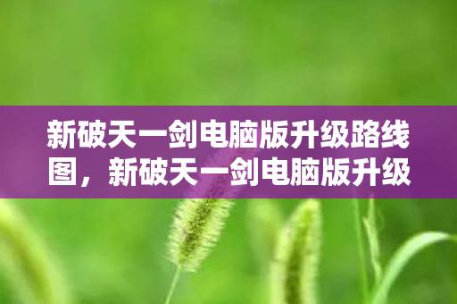 新破天一剑电脑版升级路线图,新破天一剑电脑版升级全攻略 新破天一剑电脑版升级路线图,新破天一剑电脑版升级全攻略