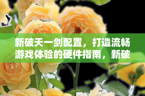 新破天一剑配置,打造流畅游戏体验的硬件指南,新破天一剑,打造流畅游戏体验的硬件指南 新破天一剑配置,打造流畅游戏体验的硬件指南,新破天一剑,打造流畅游戏体验的硬件指南