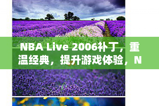 NBA Live 2006补丁，重温经典，提升游戏体验，NBA Live 2006经典补丁，重温经典，提升游戏体验