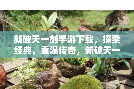 新破天一剑手游下载,探索经典,重温传奇,新破天一剑手游,重温经典传奇,探索无限可能 新破天一剑手游下载,探索经典,重温传奇,新破天一剑手游,重温经典传奇,探索无限可能